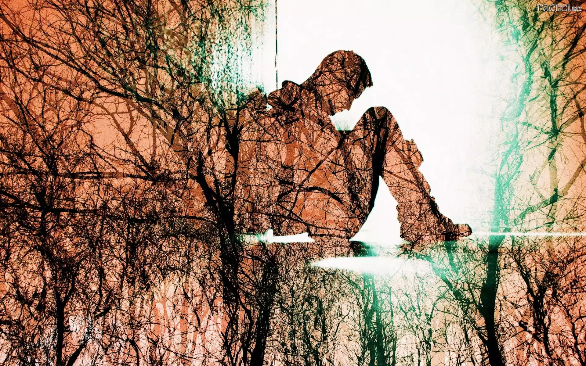 Drzewa, Grafika, Mężczyzna