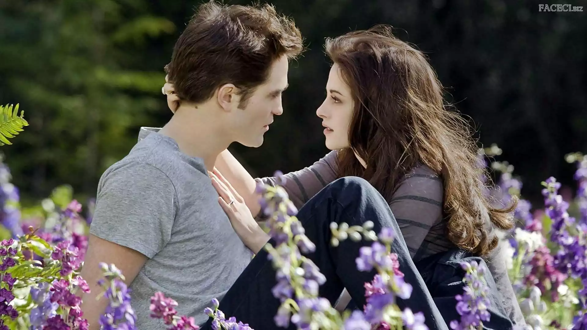 Kwiaty, Kristen Stewart, Łąka, Robert Pattinson